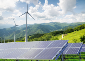 Investimentos verdes: Apenas moda ou tendência para o futuro